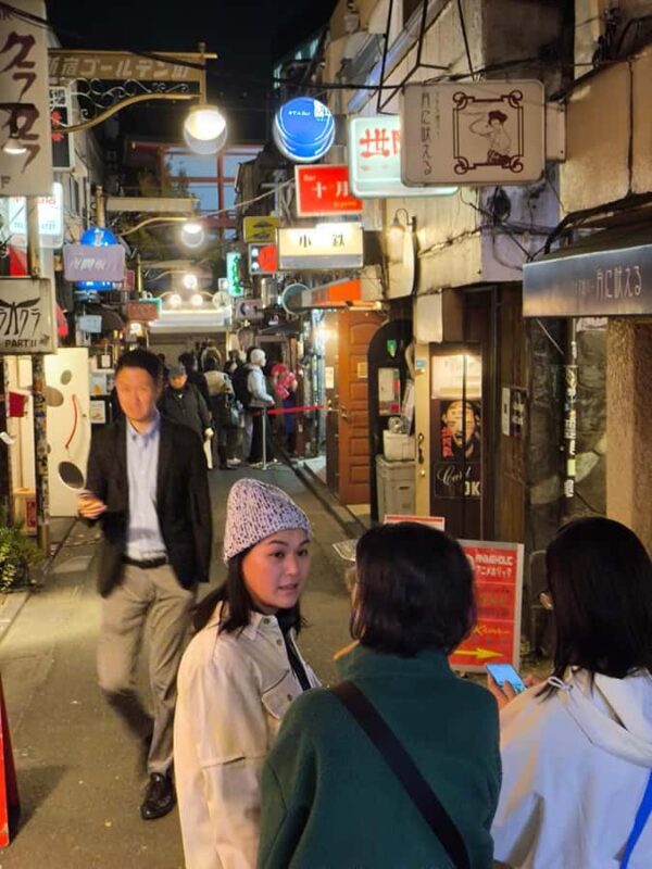 Explore Shinjuku's breathtaking views and entertainment districts - Considerations