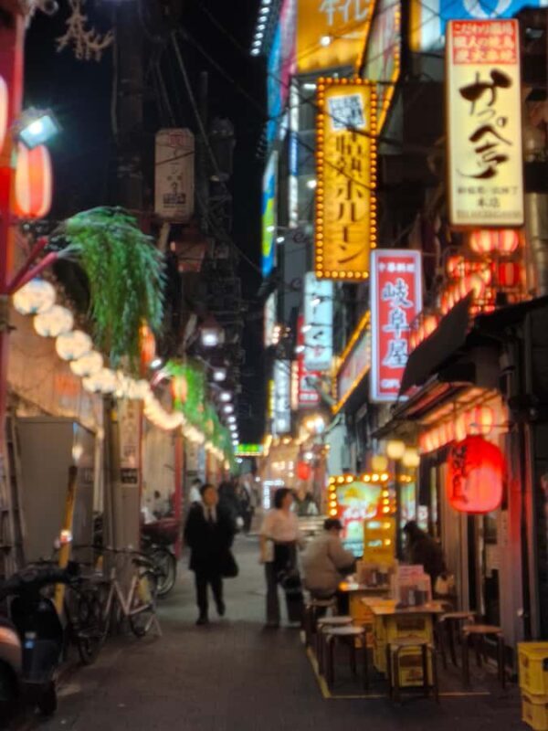 Explore Shinjuku's breathtaking views and entertainment districts - Good To Know