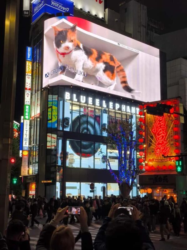 Explore Shinjuku's breathtaking views and entertainment districts - A Deep Dive into the Shinjuku Tour Experience