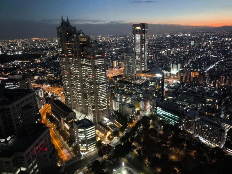 Explore Shinjuku's breathtaking views and entertainment districts - Final Thoughts: Is It Worth It?