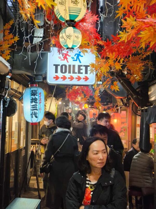 Explore Shinjuku's breathtaking views and entertainment districts - FAQ