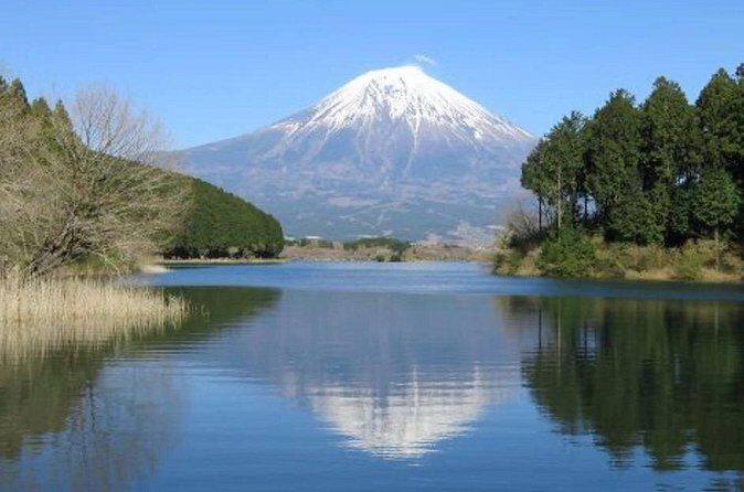 Explore Shizuoka with Private Car Tour - A Closer Look at the Itinerary and Experience