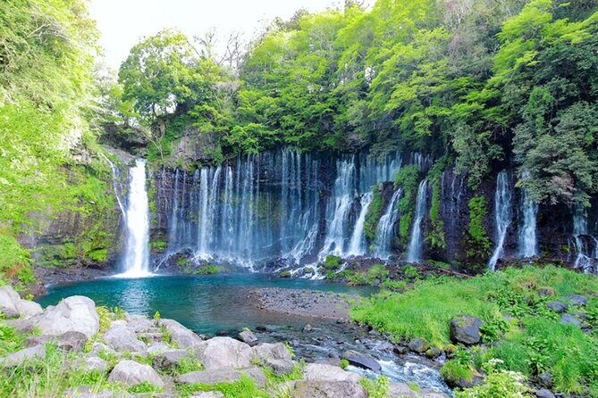 Explore Shizuoka with Private Car Tour - Good To Know