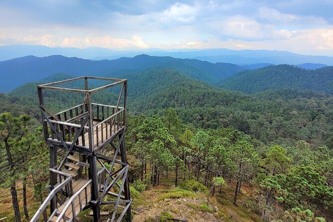 Explore Sierra Norte, Half-Day Hiking Adventure - Good To Know