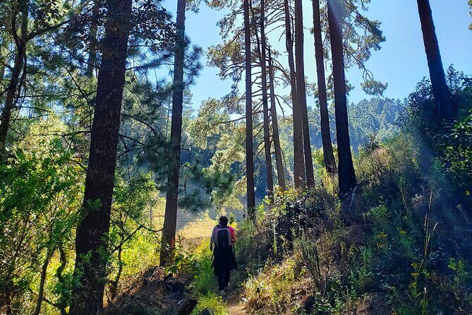 Explore Sierra Norte, Half-Day Hiking Adventure - Final Thoughts
