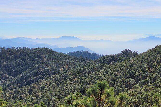 Explore Sierra Norte, Half-Day Hiking Adventure - FAQ