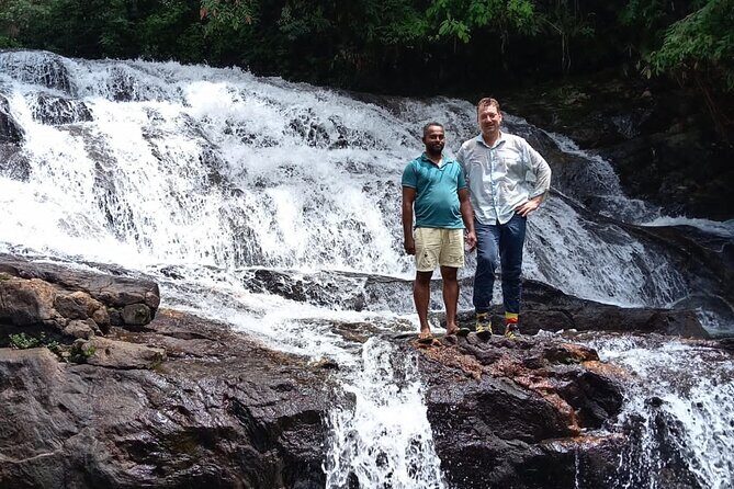 Explore Singharaja Rain Forest from Hambantota - The value of this experience