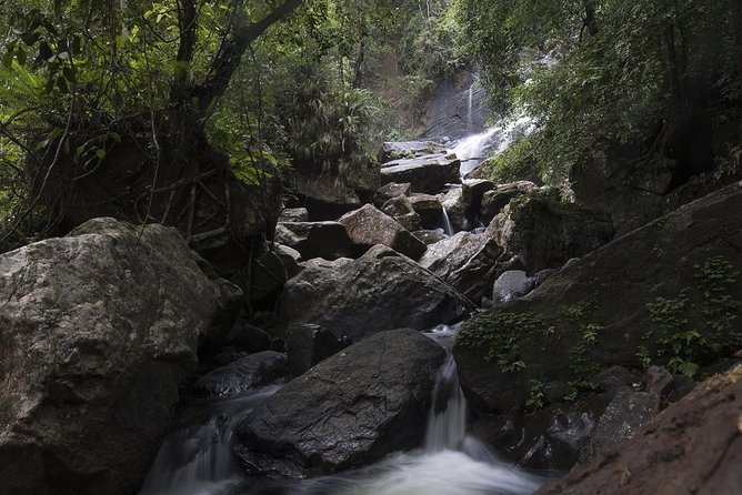 'Explore Sinharaja' Rainforest - Discovery Tour (Half Day) - Half Day Discovery Tour Highlights