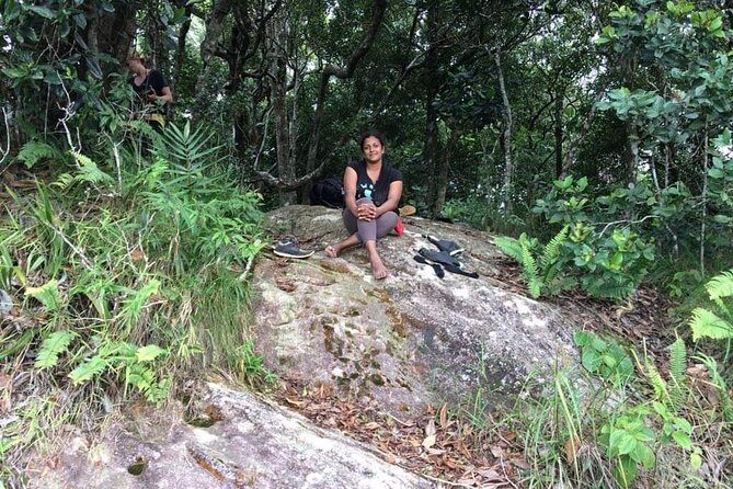 Explore Sinharaja Rainforest Lions Rock Hike Full day - The Itinerary in Detail