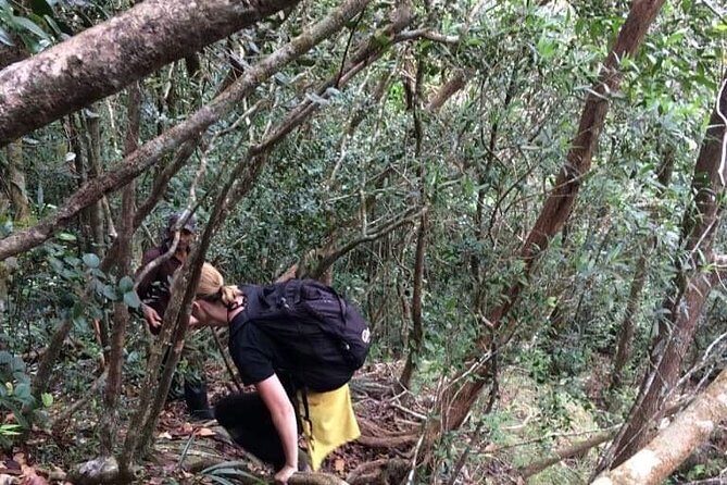 Explore Sinharaja Rainforest Lions Rock Hike Full day - Final Thoughts