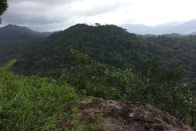Explore Sinharaja Rainforest Lions Rock Hike Full day - Good To Know