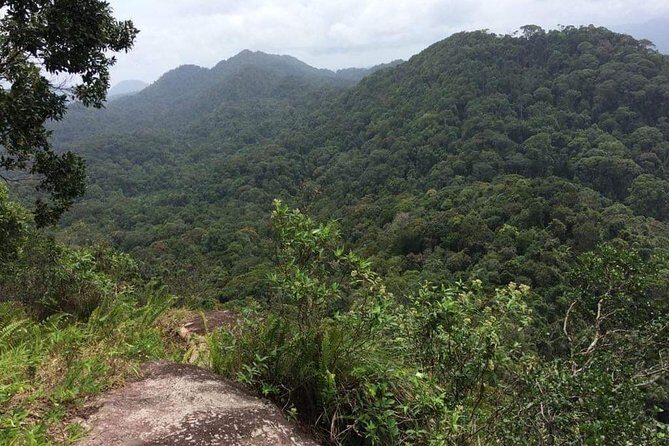 Explore Sinharaja Rainforest Lions Rock Hike Full day - Final Thoughts
