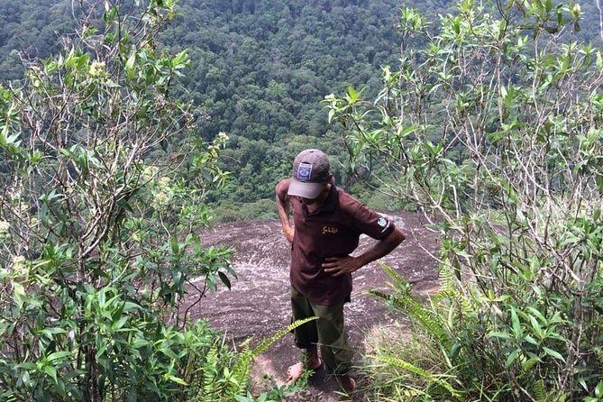 Explore Sinharaja Rainforest Lions Rock Hike Full day - FAQ