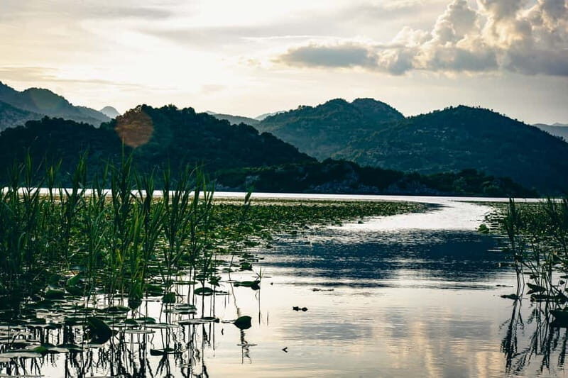 Explore Skadar Lake: Exclusive Guided Boat Falcon Tour! - Detailed Breakdown of the Itinerary
