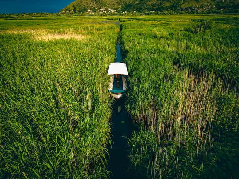 Explore Skadar Lake: Exclusive Guided Boat Falcon Tour! - Authentic Experiences from Reviews