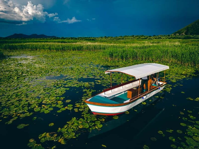 Explore Skadar Lake: Exclusive Guided Boat Falcon Tour! - Who Should Consider This Tour?