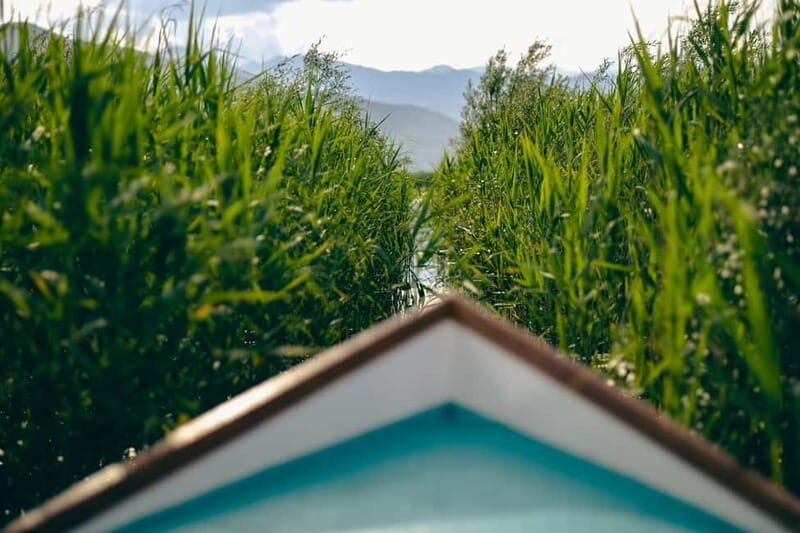 Explore Skadar Lake: Exclusive Guided Boat Falcon Tour! - FAQs