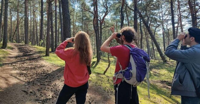 Explore Sobieszewo Island: Nature Walk & Wildlife Tour - Guided Nature Experience