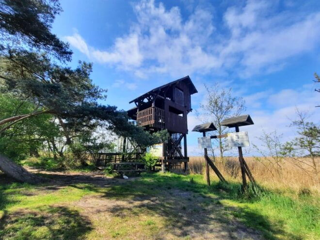 Explore Sobieszewo Island: Nature Walk & Wildlife Tour - Wildlife Encounters