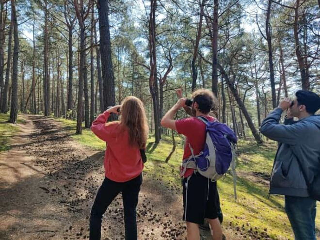 Explore Sobieszewo Island: Nature Walk & Wildlife Tour - Observation Equipment
