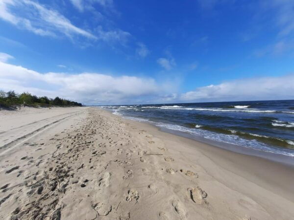 Explore Sobieszewo Island: Nature Walk & Wildlife Tour - Preparedness