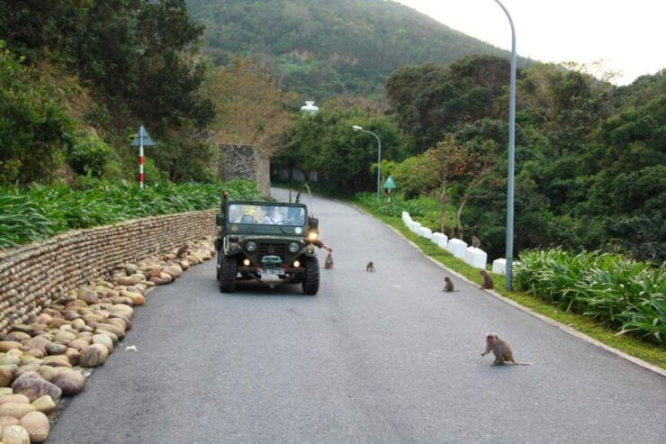 Explore Son Tra Peninsula by US Army Jeep - Booking Details