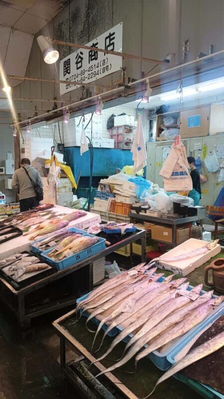 Explore Southern Osaka: Kaizukas Nature & Heritage - Price and Value