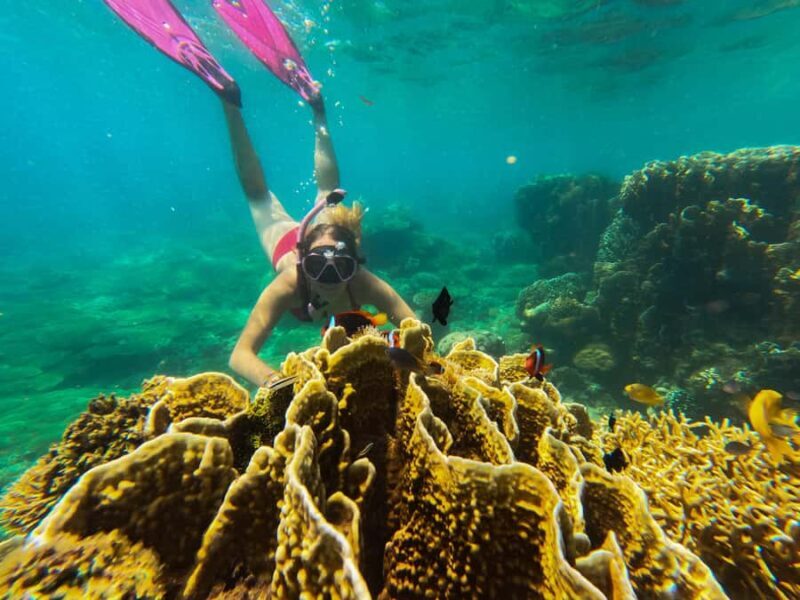 Explore Southwest Gili : Gili Asahan, Goleng, Layar & Gede - What Makes This Tour Special?