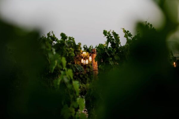 Explore Split, Trogir With Lunch at Kastel Sikuli Winery - Historic Sites and Attractions