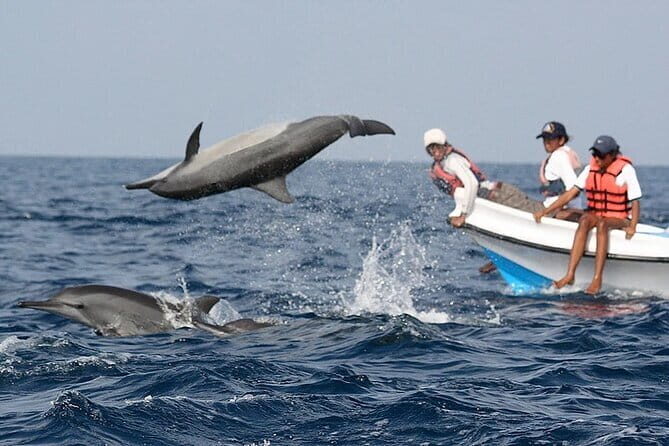 Explore Sri Lanka in 5 Days with Breakfast and Luxury Car - Real Traveler Insights & Experiences