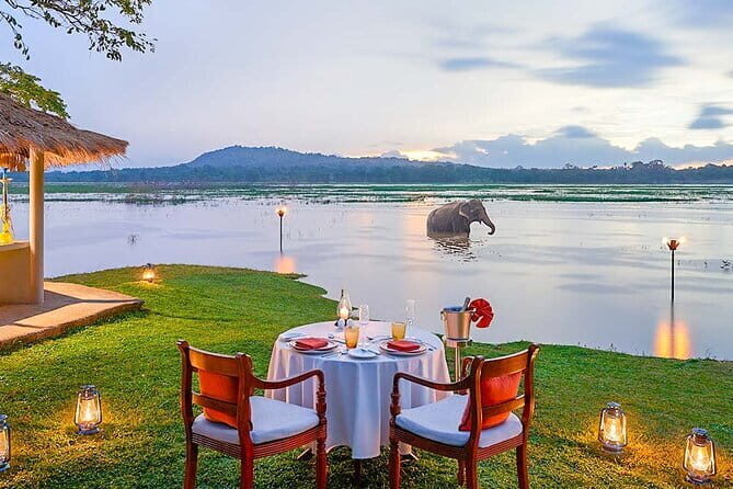 Explore Sri Lanka with Prasanna Sampath - Final Thoughts: Is This Tour Worth It?