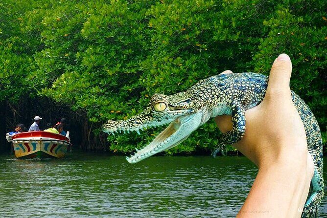 Explore Sri Lankas South Coast - Galle One Day City Tour - The Value and Cost Analysis