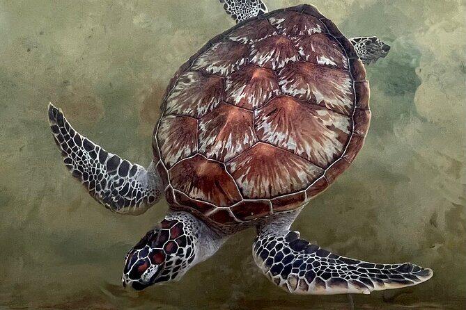 Explore Sri Lankas South Coast - Galle One Day City Tour - Who Is This Tour Best For?