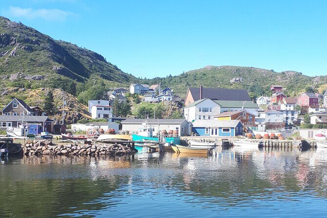 Explore St. John's Scenic Bus Tour to Cape Spear and Quidi Vidi - Who Should Book This Tour?