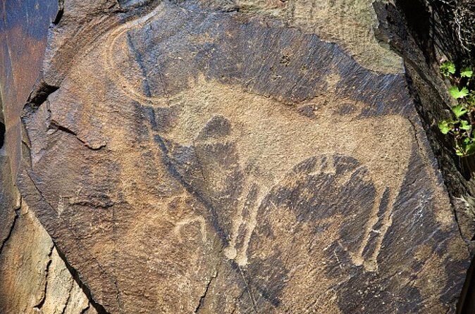 Explore Tanbaly and Tamgaly Tas in 1 day! - Final Thoughts: Who Will Love This Tour?  