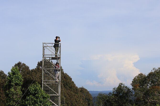 Explore Temburong with Canopy Tower - Good To Know