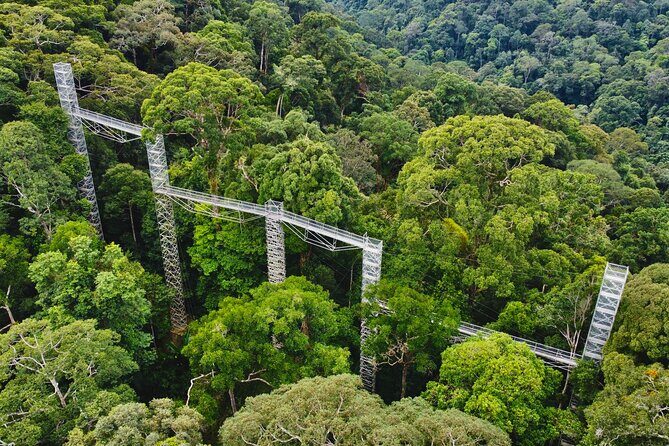 Explore Temburong with Canopy Tower - What Sets This Tour Apart?