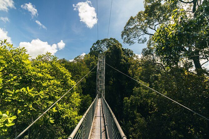 Explore Temburong with Canopy Tower - Final Thoughts: Is It Worth It?