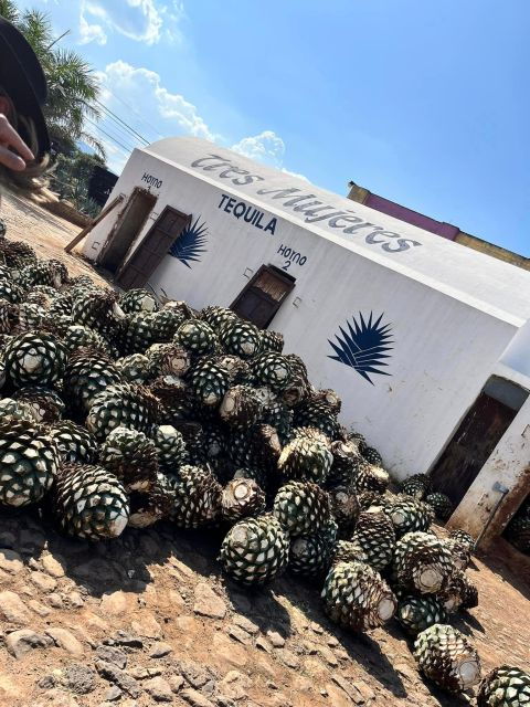 Explore Tequila: Private Trip From Guadalajara - Experience Highlights