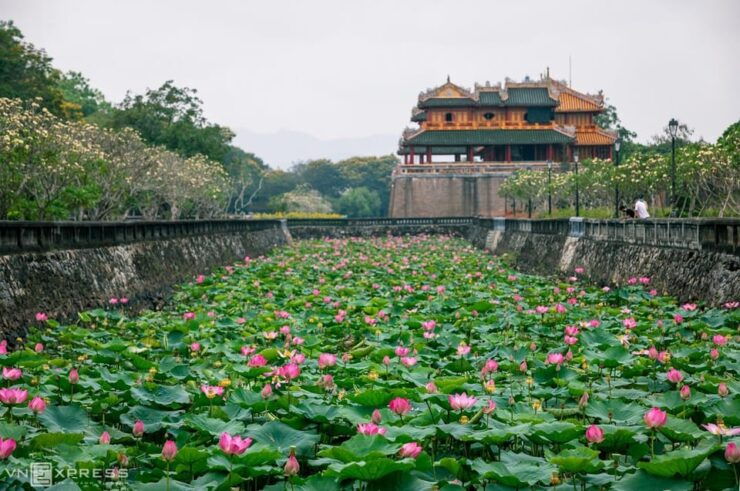 Explore the Ancient Beauty of the Imperial City of Hue - Tour Pricing Details