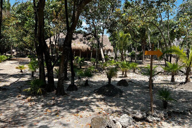 Explore the Ancient Wonders: Mayan Ruins 'El Meco' in Cancun - The Itinerary: What You’ll Experience at El Meco