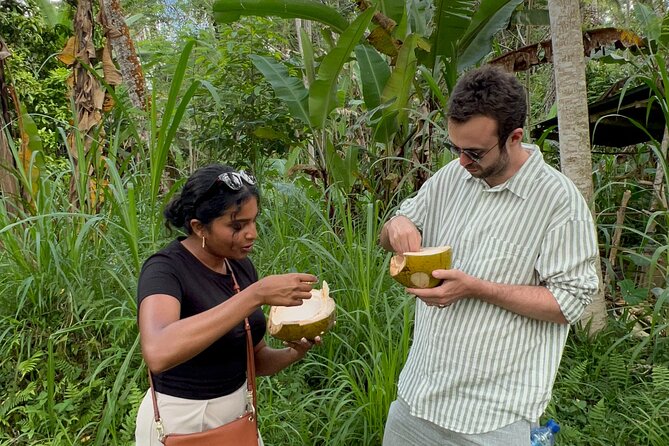 Explore the Beaten Path of North Ubud - Hidden Gems Discovery
