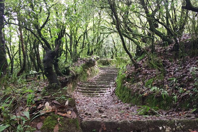 Explore the Beauty of Champa Devi: A Rewarding Hiking Experience - How to Reach Champa Devi