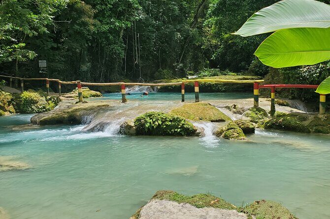 Explore the Beauty of Montego Bay Nature Tour in Jamaica - What to Expect from the Montego Bay Nature Tour