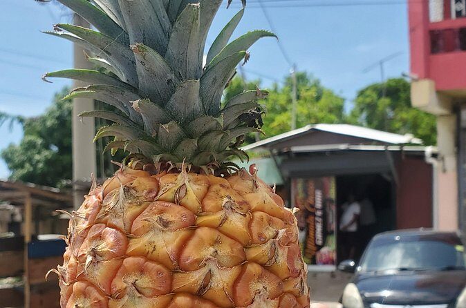 Explore the Beauty of Montego Bay Nature Tour in Jamaica - Why This Tour Might Be Perfect for You