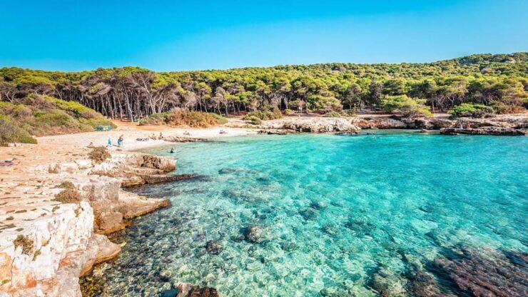 Explore the Beauty of Porto Selvaggio Bike Tour - Good To Know