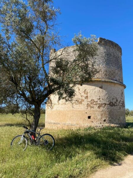 Explore the Beauty of Porto Selvaggio Bike Tour - Masseria Torre Nova Break and Photos