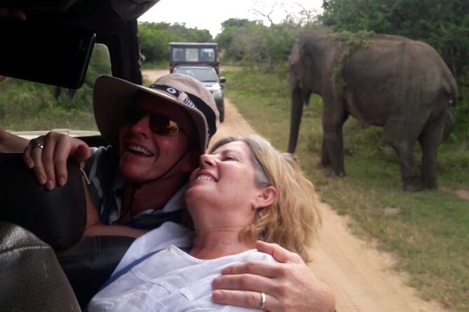 Explore The Beauty Of Udawalawe National Park From South Coast During 01 Day - Best Time to Visit Udawalawe National Park