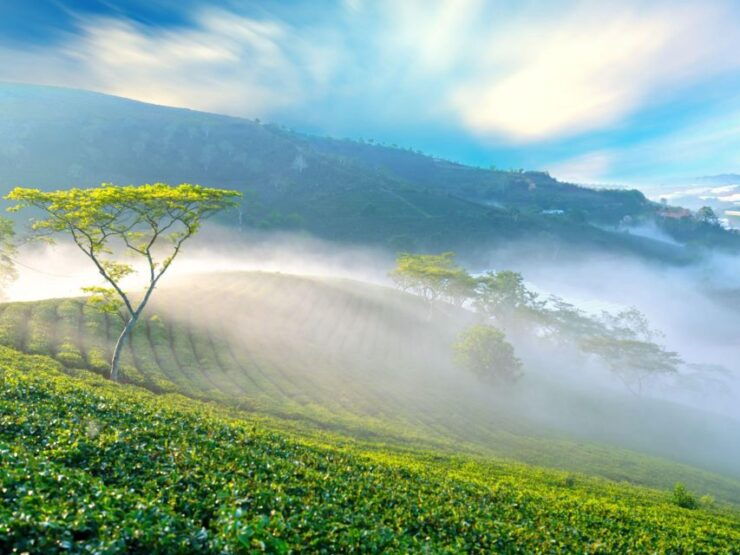 Explore the Best of Dalat's Countryside Tour (Private Car) - Tour Highlights