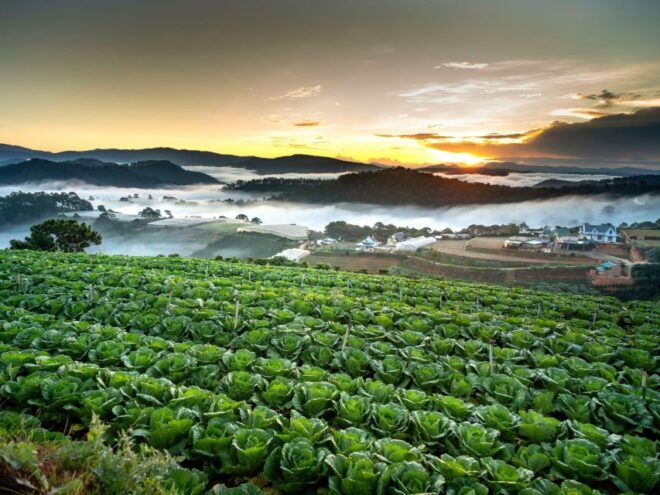 Explore the Best of Dalat's Countryside Tour (Private Car) - Waterfalls and Caves